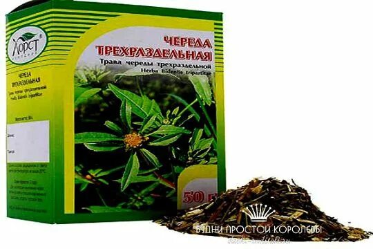 Череда в пакетиках. Череда трехраздельная для купания новорожденных. трава череды. череда лекарственная. сырье череды трехраздельной.