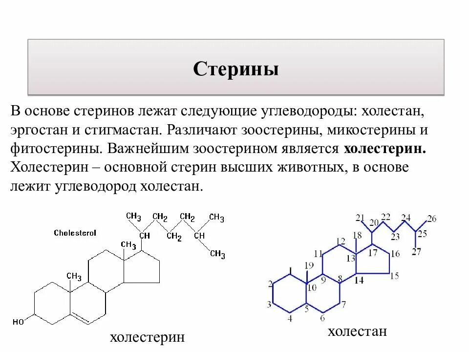 Лежащие в основе данной
