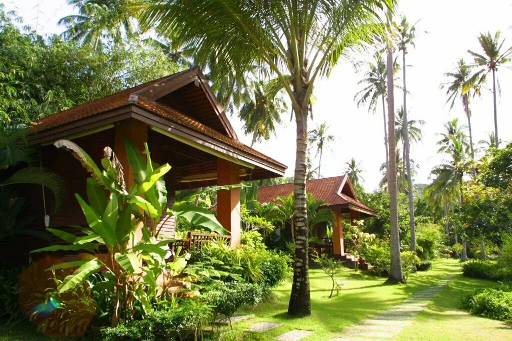 Baan samui resort. Baan mai khao beach residence. Baan mai khao beach residence. Baan mai. Кондоминиум пхукет.