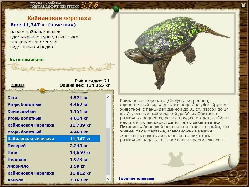 Масса черепахи. Русская рыбалка Installsoft Edition 3.7.6 рыбы. Русская рыбалка 3.6 черепаха. Installsoft русская рыбалка 3.7.6. Русская рыбалка Installsoft Edition.