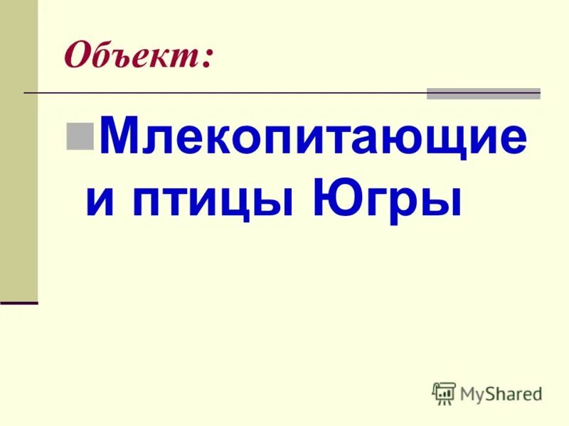 Млекопитающие презентация. Млекопитающие. Ехидна подкласса первозвери. Характеристика класса млекопитающие 7 класс биология. Объект млекопитающее.
