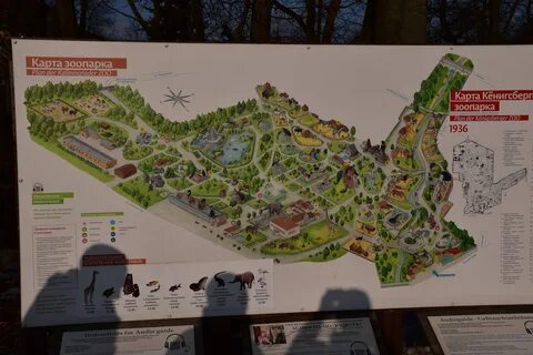 Зоопарк можно по пушкинской карте