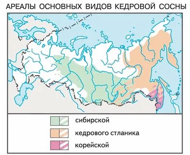 Лиственница даурская ареал