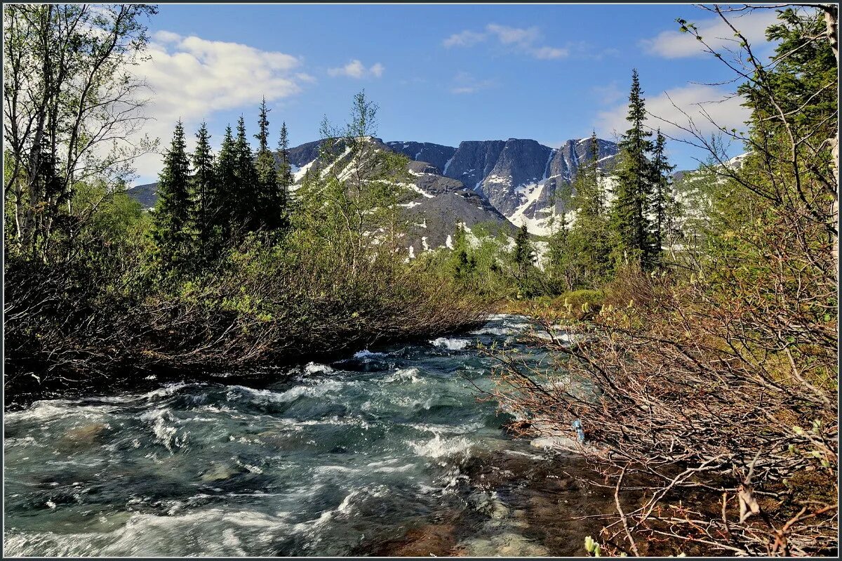 Горы хибины. Нац парк хибины. Национальный парк хибины. Тысяча ручьев хибины. Хибины работа.
