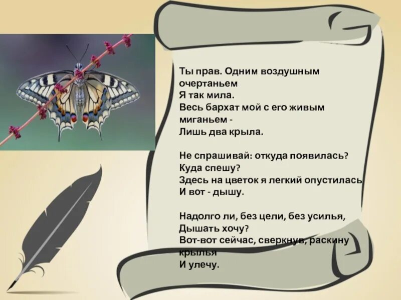 Два крыла загадка