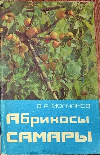 Марки с абрикосами. Цвет абрикоса книга. Абрикос с книги окружаешого страница 95. Абрикос книги. Книга и абрикос.