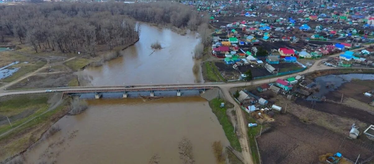 Точный прогноз в мраково