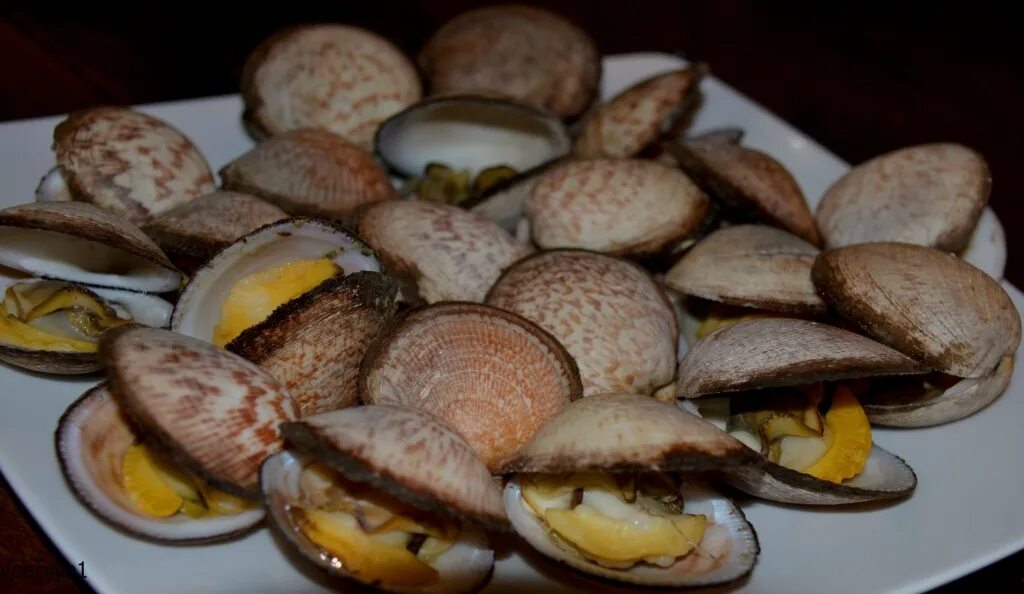 Морской миндаль