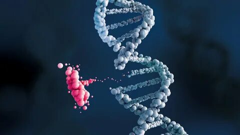 Gene s