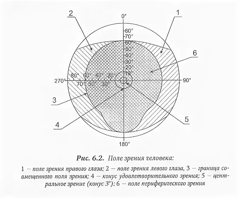 Поле зрения глаза. Поля зрения центр. Поле зрения правого глаза.