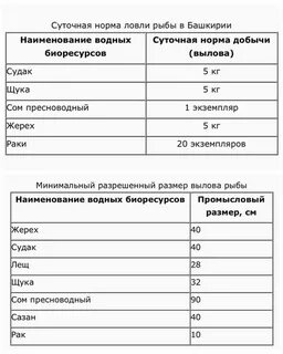Форель без нормы вылова