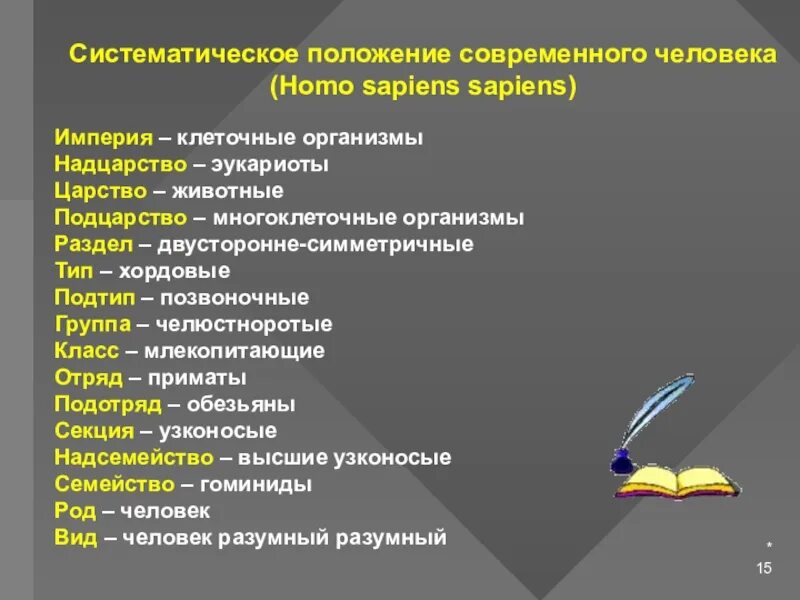 Систематическое положение современного человека. Систематическое положение человека homo sapiens. Определить систематическое положение человека