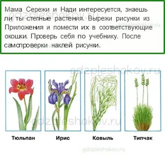Мама сережи и нади интересуется