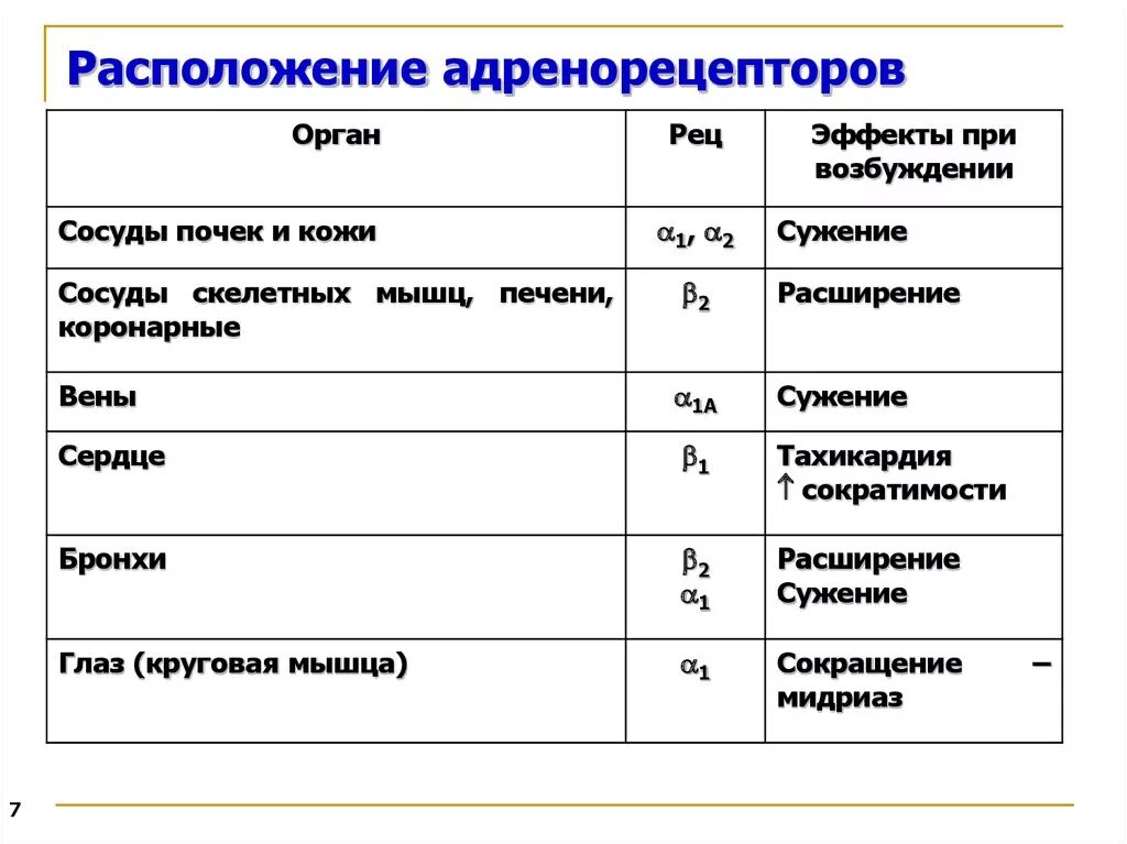 Альфа и бета адренорецепторы. Эффекты возбуждения адренорецепторов таблица. Локализация бета 3 адренорецепторов. Эффект возбуждения Альфа 1 адренорецепторов. Расположение Альфа и бета адренорецепторов.