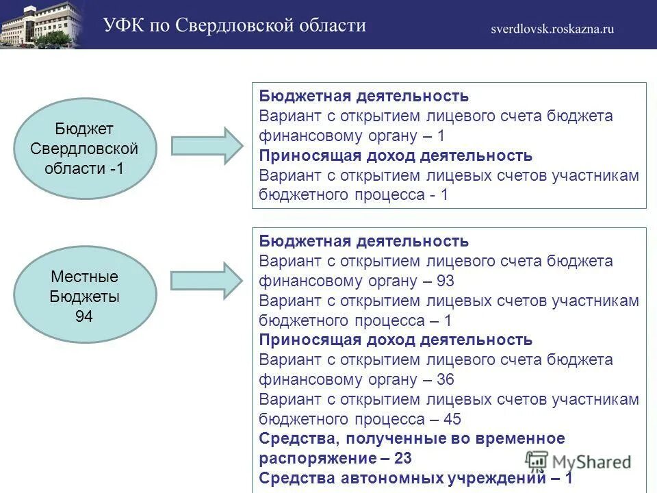 Функции бюджетного учета. Лицевые счета участников бюджетного процесса. бюджетная деятельность. лицевые счета бюджетных учреждений в финансовом органе. виды лицевых счетов в финансовом органе.