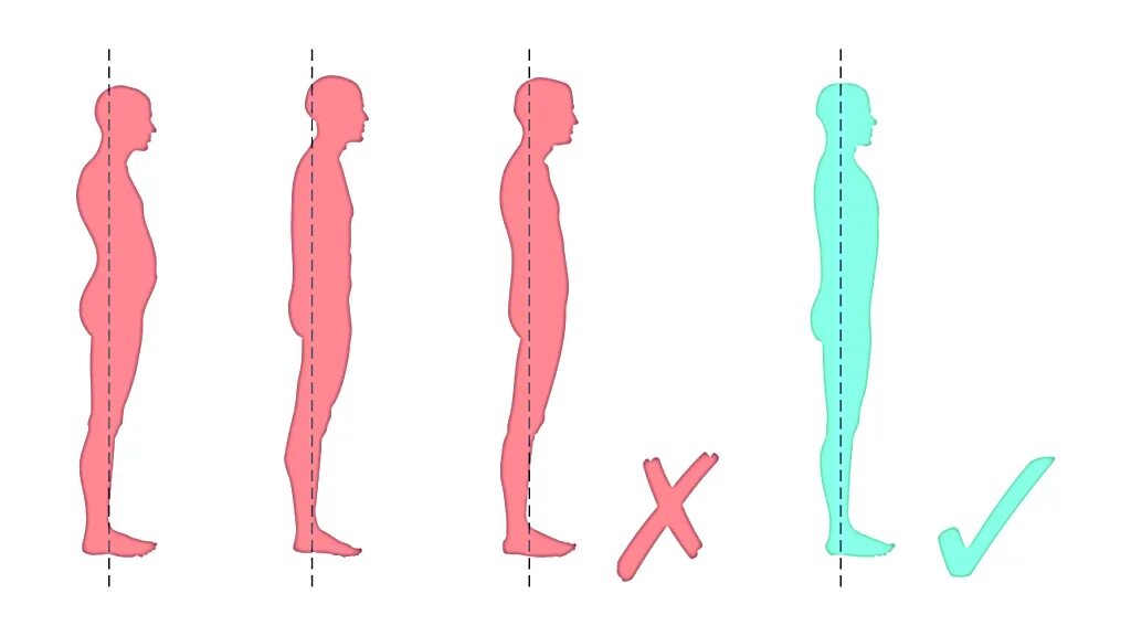 Правильная осанка. Ровная спина. Правильная осанка позвоночника. Ровная осанка. Прямой позвоночник без изгибов