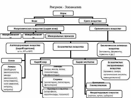Сухой анализ