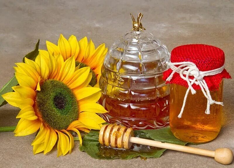 Мед подсолнух. Мёд подсолнечный. Подсолнуховый мед. Цветочный подсолнечный мед. Мед из подсолнечника.
