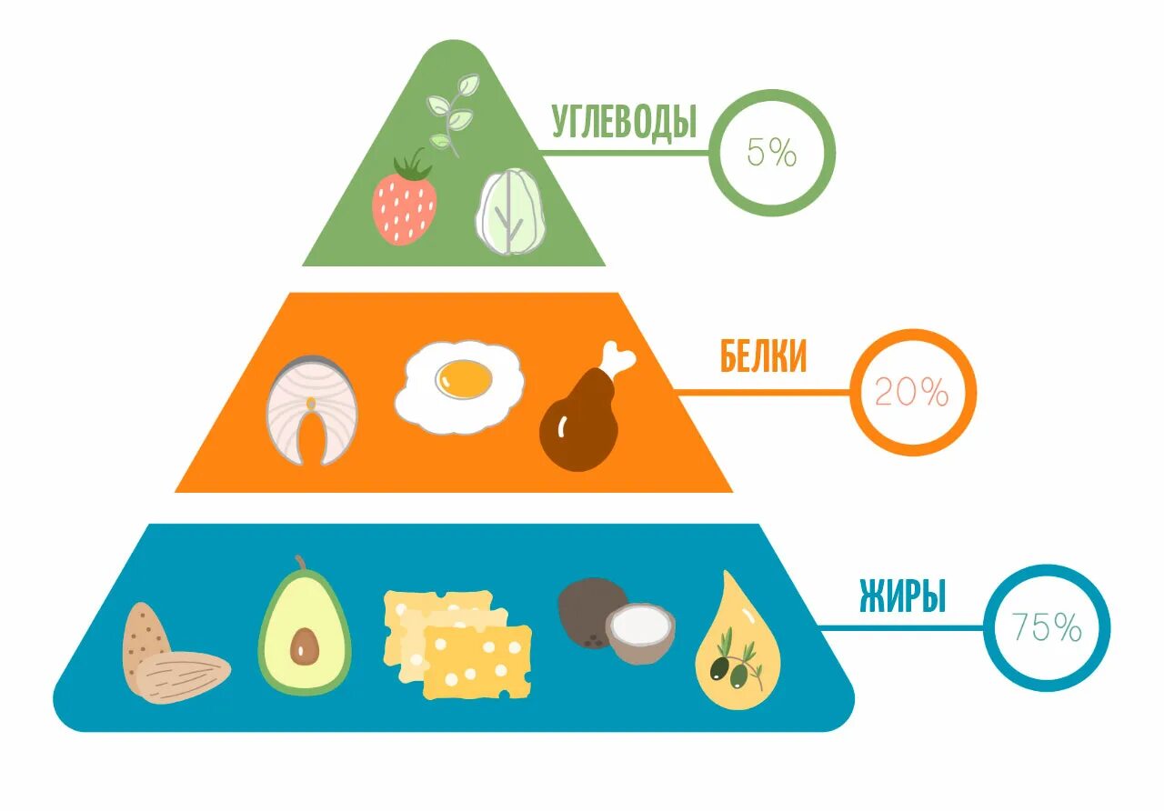 Белки жиры углеводы. Пищевая пирамида кето. Рисунок углеводов белков жиров. Белки жиры углеводы. Белок жиры и углеводы.