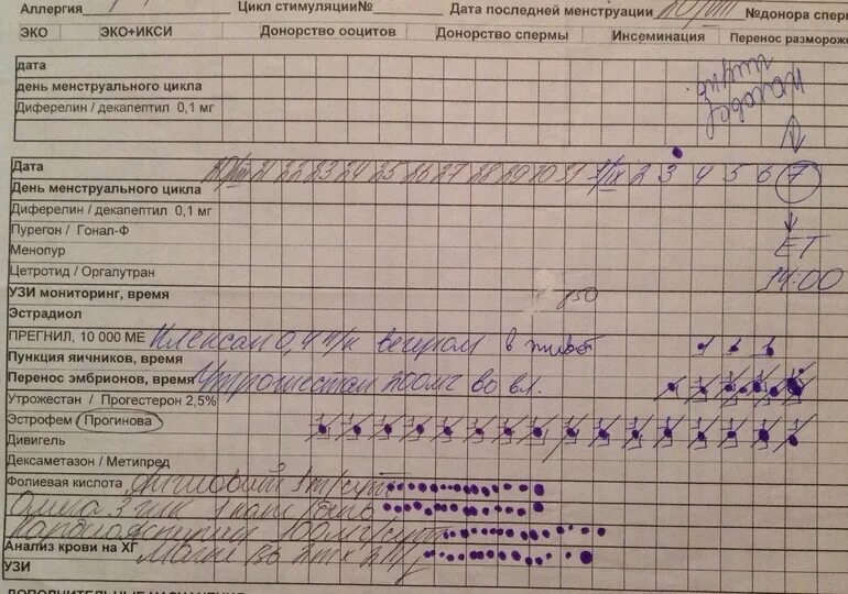 Короткий протокол эко. Схема криопротокола в естественном цикле. Схема криопротокола на ЗГТ. Криоперенос протокол. Эко криоперенос форум