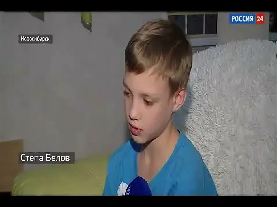 Степа бел