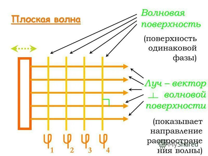 Т б волна. Плоская волна пример. Понятие фазового фронта волны. Волновая поверхность. Волновой фронт плоской волны.