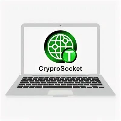 Cryptosocket