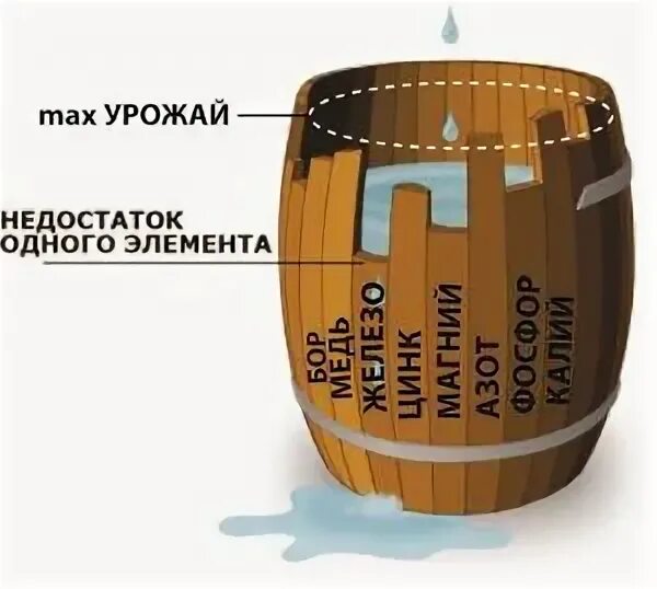 Бочка урожайности. Биология бочка Либиха. Бочка Либиха ЕГЭ биология. Бочка Либиха химические элементы. Бочка Либиха для растений.