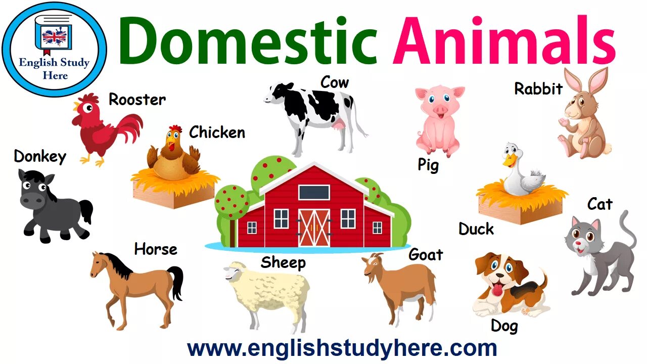 Домашних животных по английскому. Животные на английском для детей. Англ яз домашние животные. Животные на ферме на английском языке. Name 5 pets