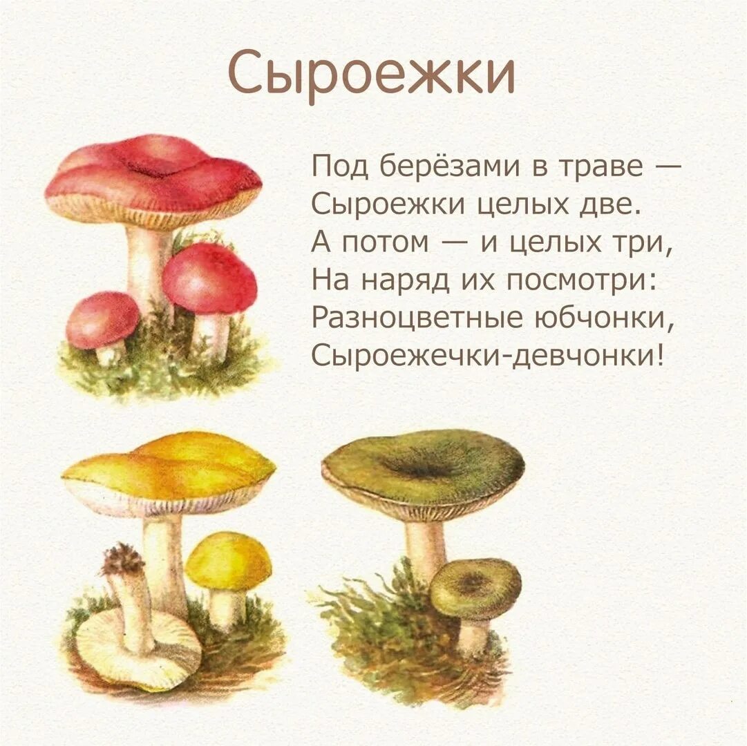 Чтение про грибы. Стихи про грибы для детей 4-5 лет для заучивания. рассказ про грибы для дошкольников. стихотворение про грибочки для детей. стихи про грибы для детей.