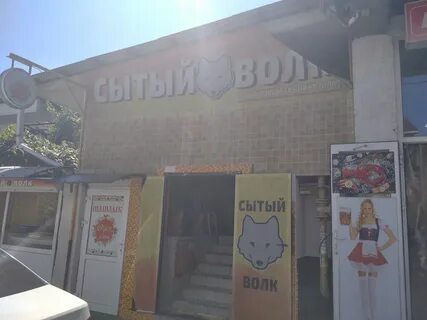 Сытый волк телефон