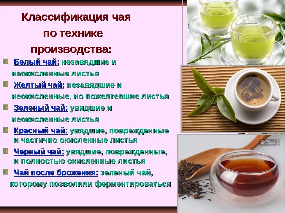 Полезные свойства черного чая. Классификация чая. виды зеленого чая. классификация чая и чайных напитков. чай классификация и виды.