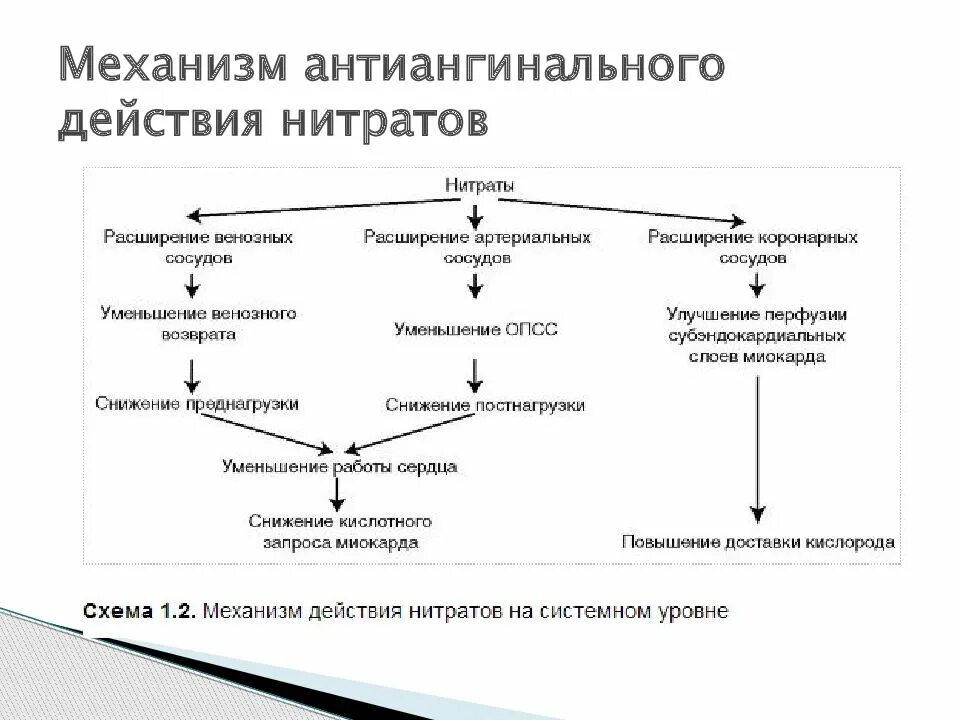 Группы антиангинальных средств. Антиангинальные средства механизм действия и препараты. Механизм действия антиангинальных средств. Антиангинальные препараты механизм действия. Механизм действия антиангинальных средств фармакология.