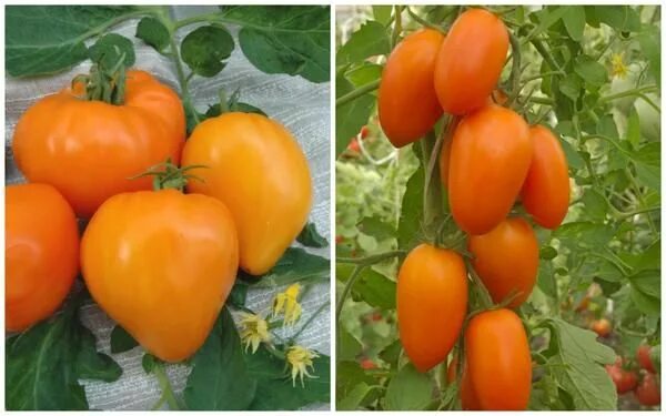 ВХ в Нижнем Новгороде - купить продукцию ВХ оптом в интернет-снабжении ОРДЕР стр