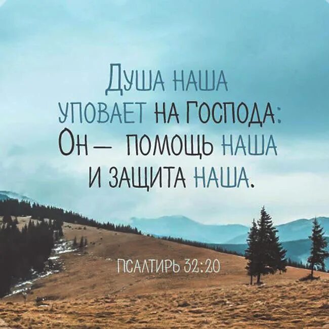 Библия в коже. Бог мой и уповаю на него. Библия защита. Цитаты из священного писания. Библия защита.
