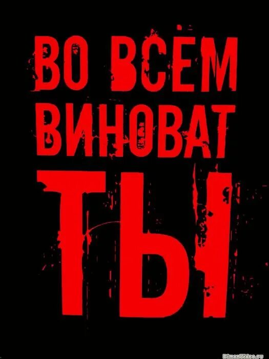 Ты виноват. Ты во всем виноват. Ты виновен. Я сам виноват. Виновато прекрасно