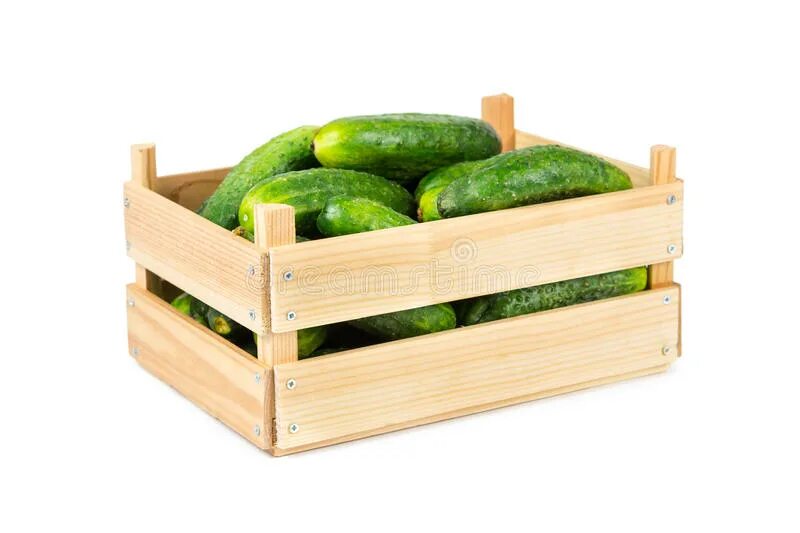 Ящик огурцов на белом фоне. Огурцы в коробке. Огурцы в лотке. Ящик с огурцами в три раза. Cucumbers in a box.