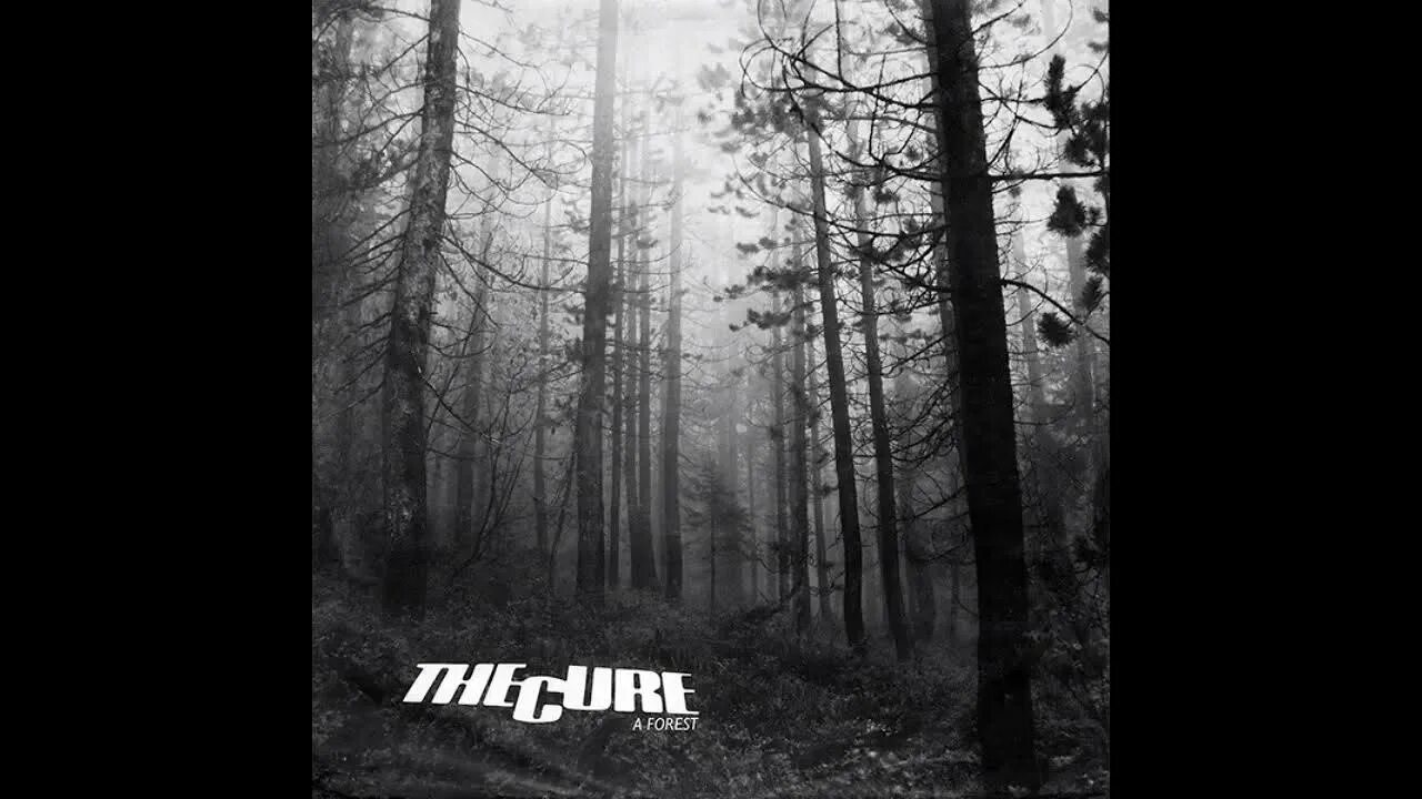 The cure forest. The Cure a Forest. The Cure - a Forest 1980 альбом. The Cure Vinyl a Forest. Серый лес обложка книги.