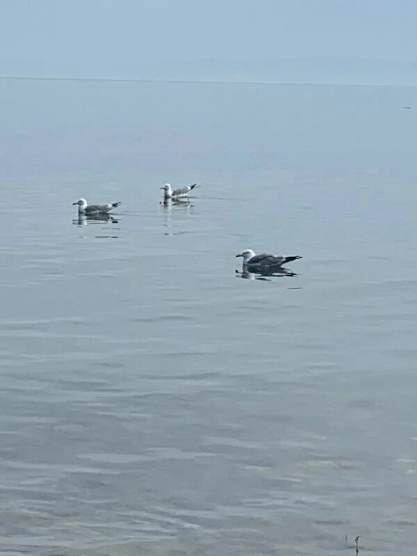 Сибирь на позитиве последнее. Сибирь на позитиве последнее. Сибирь на позитиве последнее. Сибирь на позитиве последнее. Сибирь на позитиве последнее.