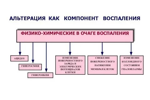 Составляющие воспаления