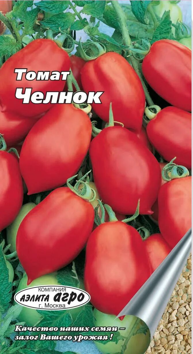 Челнок сорт помидор. Томат челночок. Семена томат челнок. Сорт томатов челнок. Томаты черри челнок.