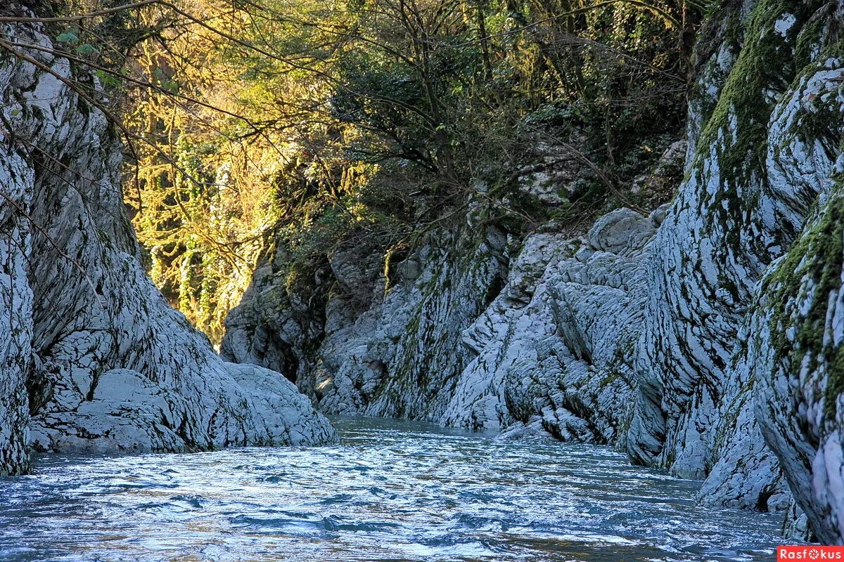 каньон чертовы ворота хоста. чертов каньон тисо самшитовая роща. тисо-самшитовая роща ущелье. тисо самшитовая роща чертовы ворота. тисо-самшитовая роща и каньон чертовы ворота.