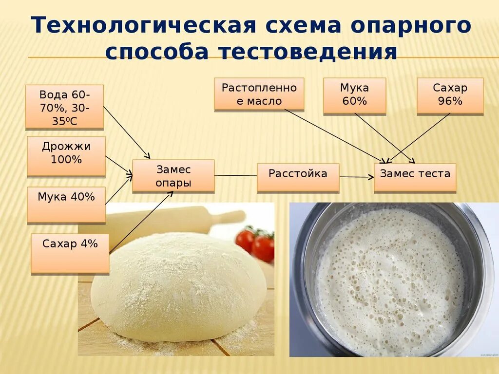 Количество воды в тесте. Опарный способ приготовления дрожжевого теста. Технологическая схема приготовления теста опарным способом. Технологию приготовления; «дрожжевое опарное». Схема безопарного дрожжевого теста.