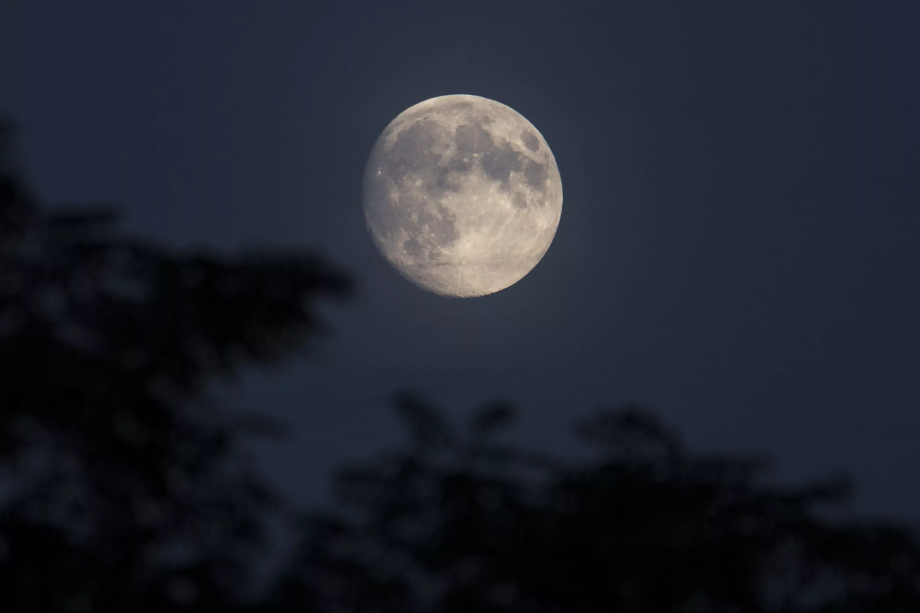 Лунное полнолуние 2024. Полнолуние. Луна полнолуние. Фото Луны. Лунный пейзаж.