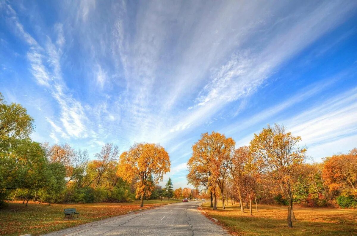 Текст стоит осенний день. Ясный осенний день. Стоит осенний день везде в теплом воздухе. Стоял осенний теплый ясный день. Стоял осенний теплый ясный день.