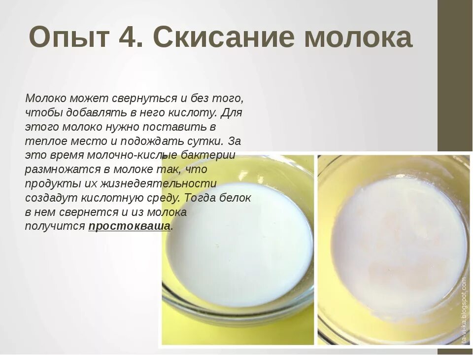 Молоко расслоилось почему. Опыты по скисанию молока. химический процесс скисания молока. опыты с молоком. опыт с кефиром.