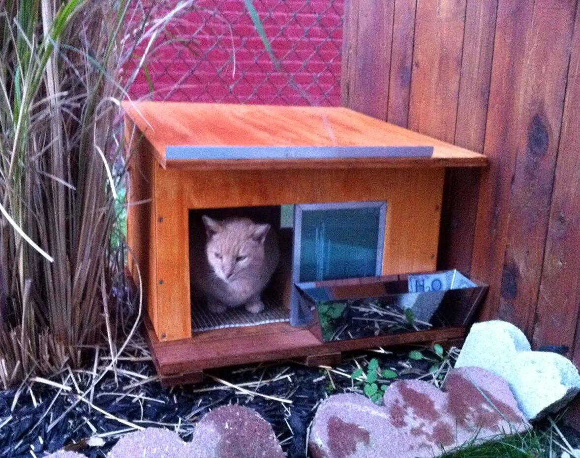 Animal house. Домик для кошек. Shelter for cats. Домик для кошек. Уличные деревянные домики для кошек.