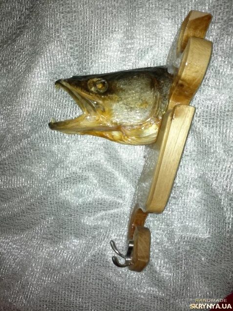 Голова судака. Судак без головы. Голова судака фото. Зубы судака. Морда судака.