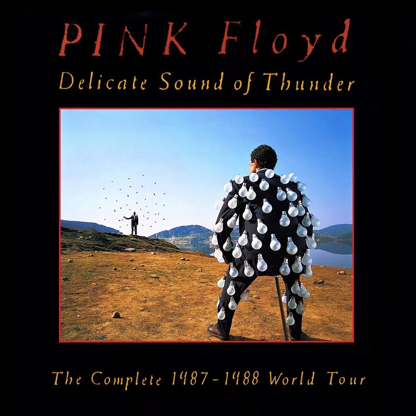 Delicate sound of thunder обложка. Сторм торгерсон. Пинк флойд delicate sound of thunder мелодия. Pink floyd delicate sound of thunder 1988. Pink floyd delicate sound of thunder 1988 обложка.