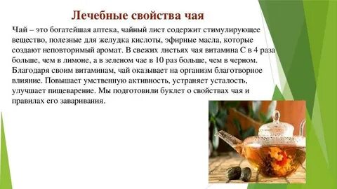Золотой чай свойства